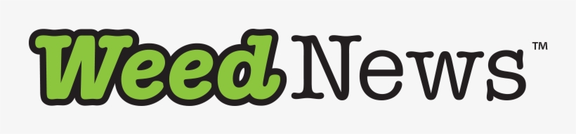 Graphic Design, transparent png