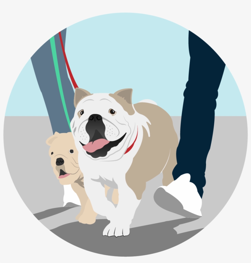 Icon Community - Dog Community Png, transparent png