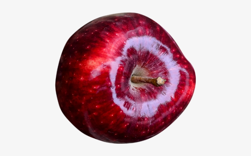 My Favorite Recipes, transparent png