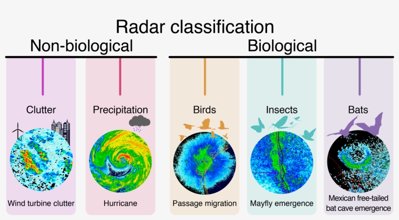 Equipped With Computing Power And Advanced Radar Technology, - Circle, transparent png