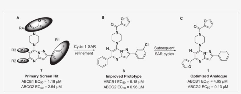 Scaffold Modification Summary From Primary Hit To Probe - Chemical Compound, transparent png