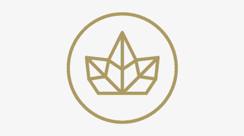 Shine Is The Inventor Of The World's First Ever 24 - Keep Frozen Icon, transparent png