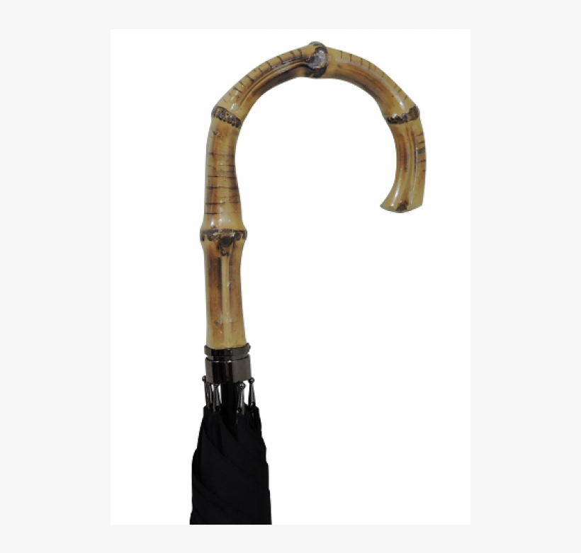 Assistive Cane, transparent png