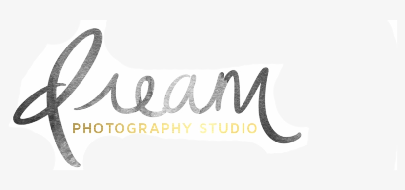 Dream Photography Png, transparent png