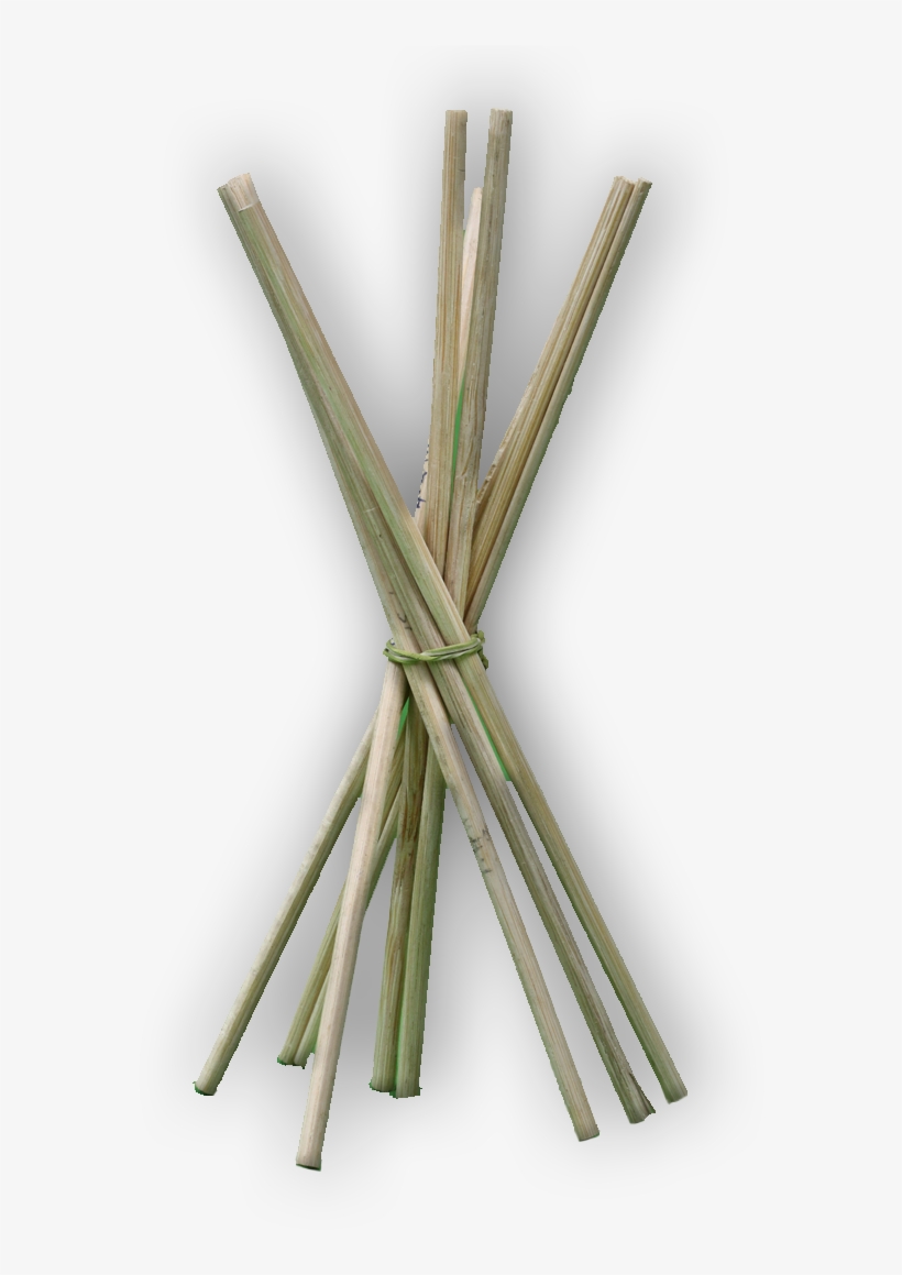 Bamboo Sticks - Wire, transparent png