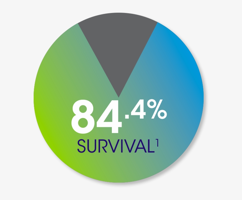 Burn Patient Survival - United States Of America, transparent png