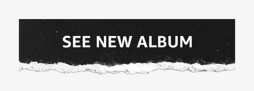 Snow, transparent png