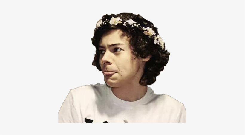 Harry Styles With Flower Crown, transparent png