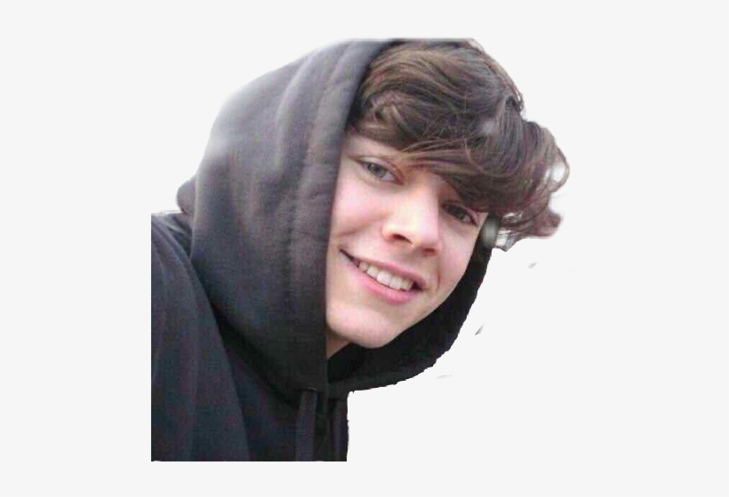 Harry Styles Fetus And Fan, transparent png