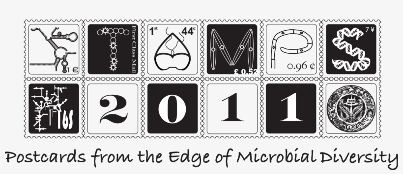 Stamps Silvia Copy - Edge Of Tomorrow: Poetry, transparent png