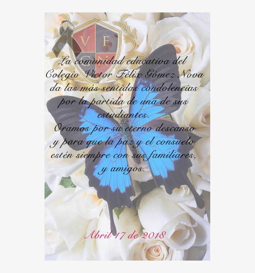 Luto Colegio - Blue Butterfly With Flower, transparent png