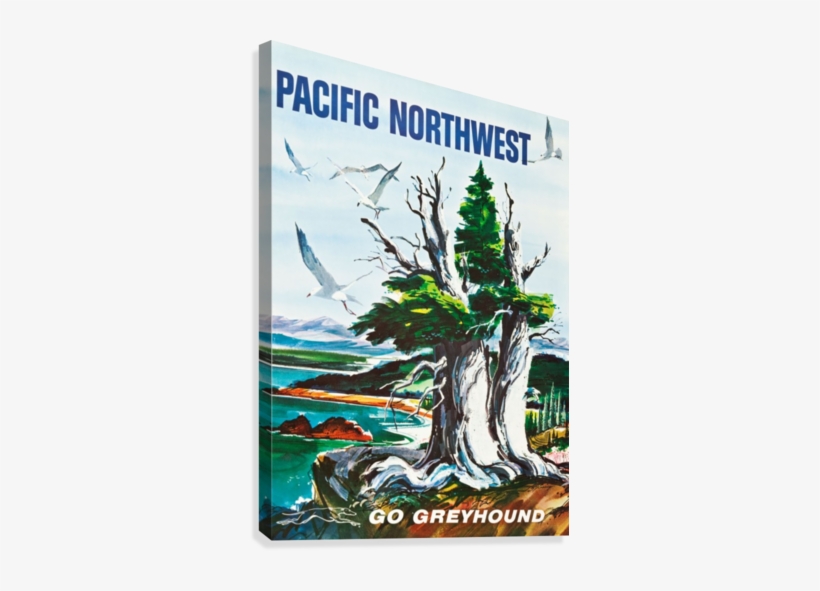 Greyhound Bus Travel Poster For Pacific Northwest Canvas - Vintage Maps Pacific Northwest, transparent png