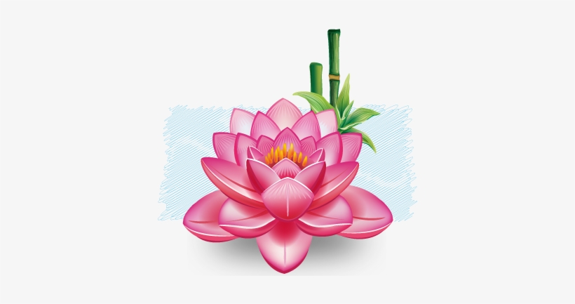 Es Símbolo De Paz Y Pureza En Diferentes Religiones - Beautiful Lotus Flower Shower Curtain, transparent png