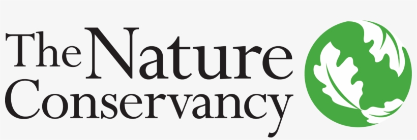 Curious About Conservation - Neutrogena Naturals Multi-vitamin Nourishing Night, transparent png