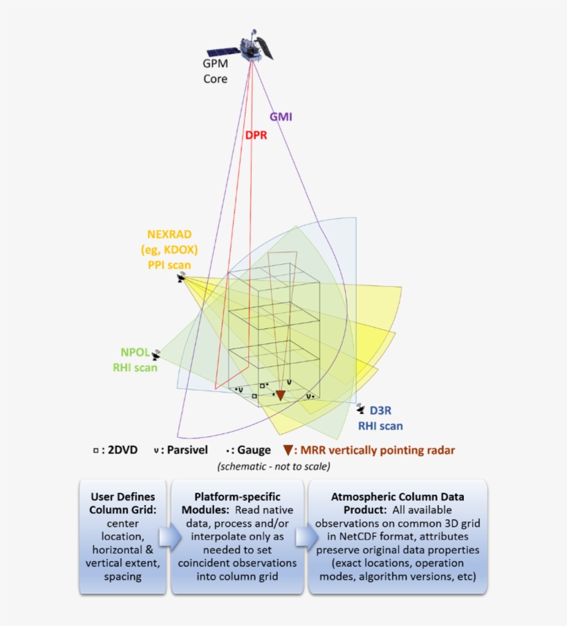 Current Simba Version - Simba, transparent png