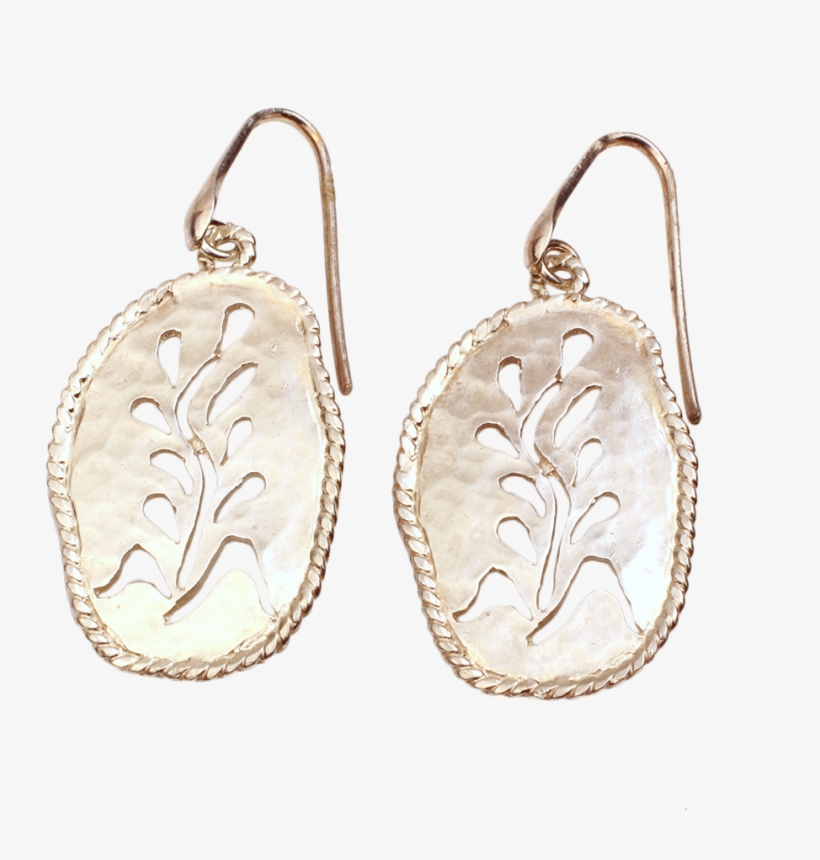 Sterling Silver Wheat Earrings - Earrings, transparent png