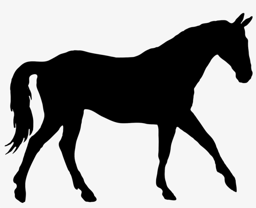 Horse Silhouette Png, transparent png