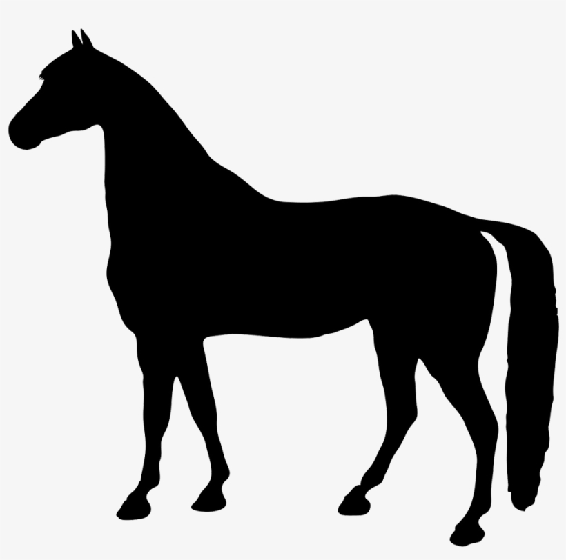 Horse Head Silhouette Png - Horse Silhouette No Background, transparent png