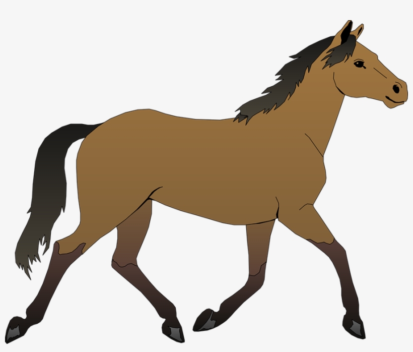 Horse Clip Art - Horse Clipart Png, transparent png