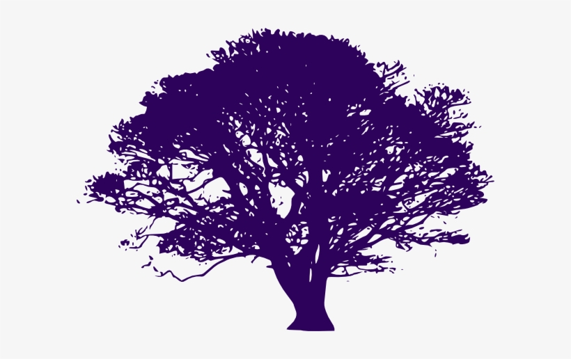 Olive Tree Black And White, transparent png