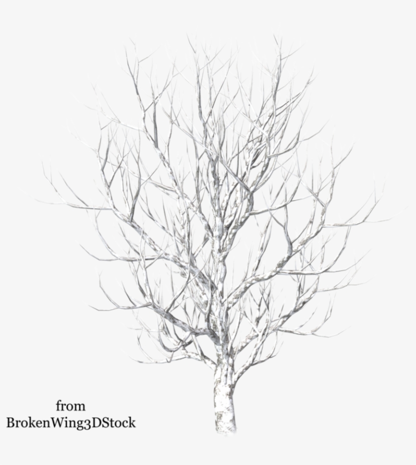 Vector Freeuse Stock Winter By Brokenwing Dstock On - Winter Snow Tree Png, transparent png