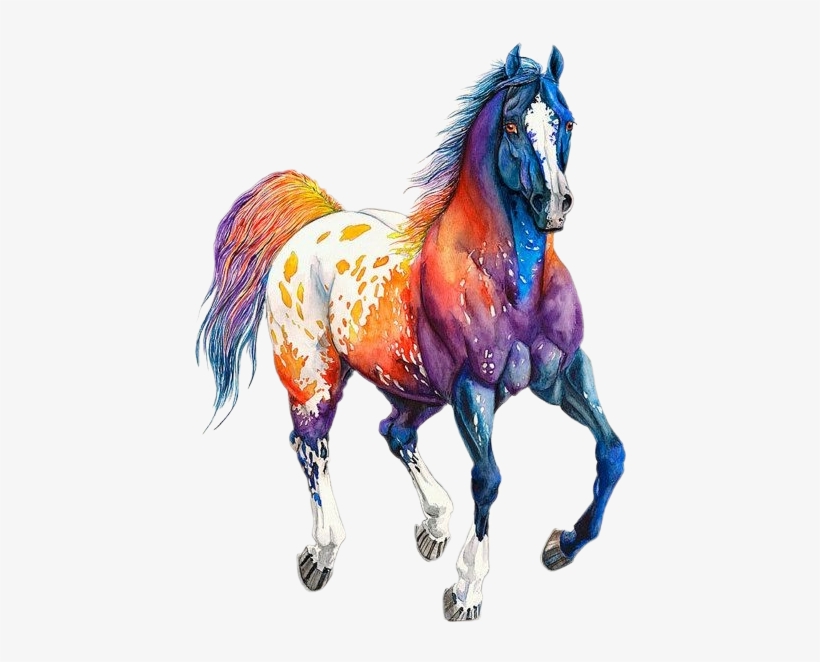 Horse, transparent png