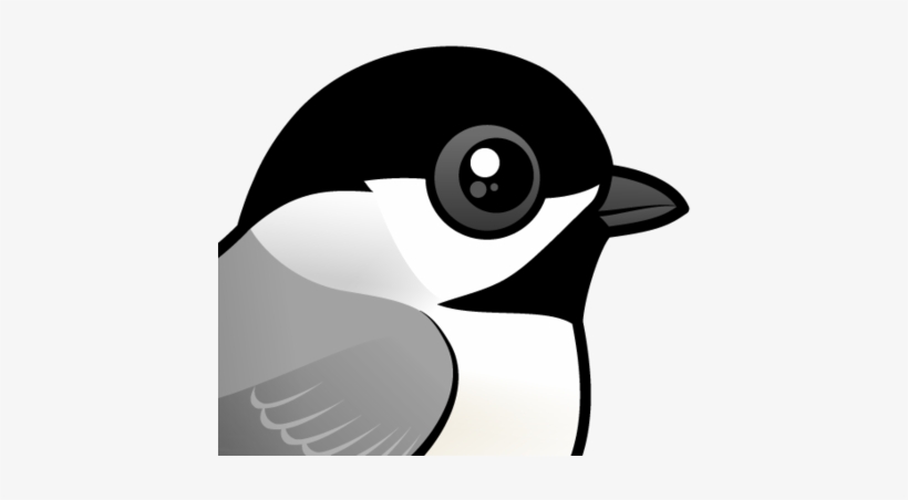 Chickadee Vector North Carolina - Black Capped Chickadee Cartoon, transparent png