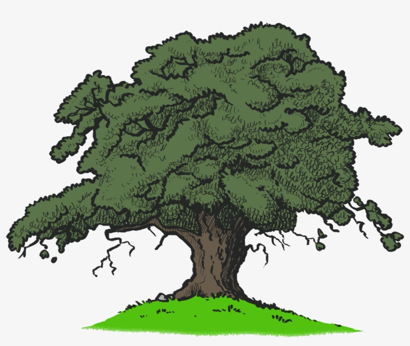 Description, transparent png
