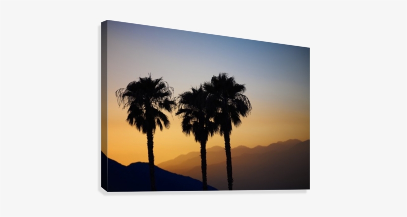 Silhouette Of Three Palm Trees At Sunset With Layers - Silhouette Of Three Palm Trees At Sunset, transparent png