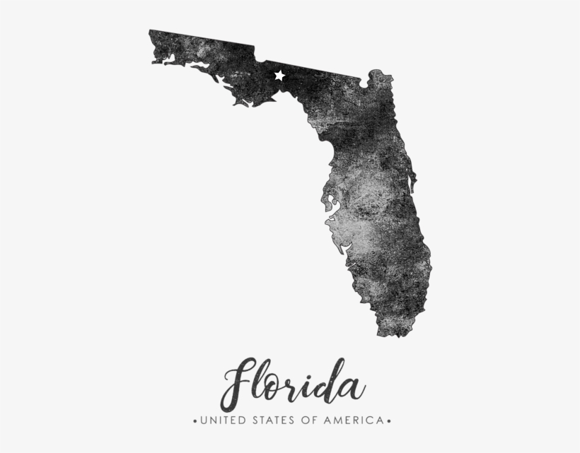 Bleed Area May Not Be Visible - Florida, transparent png