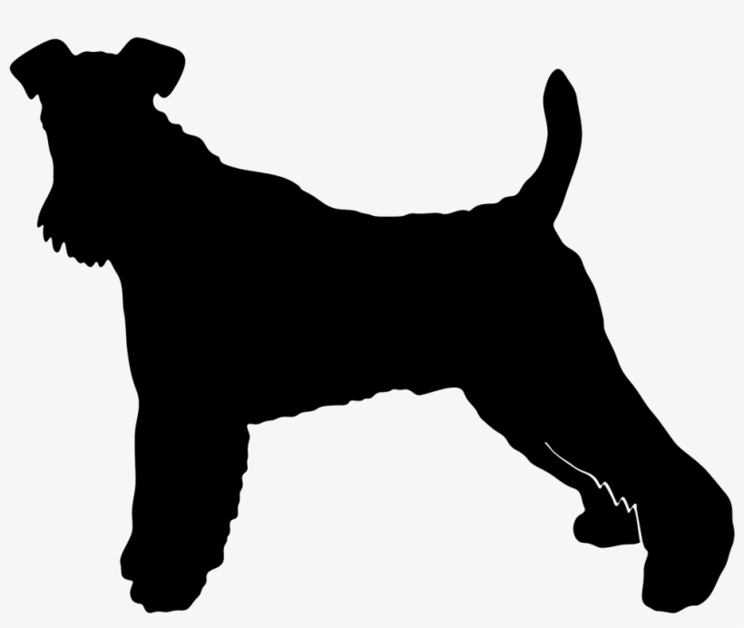 Tell A Friend - Wire Hair Fox Terrier, transparent png