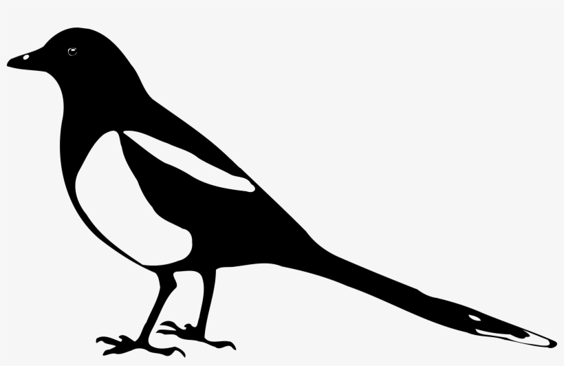 Crow Clipart Urraca - Magpie Silhouette, transparent png