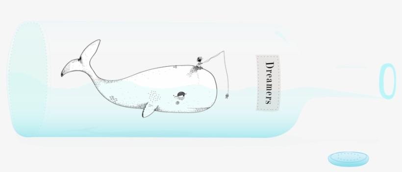 Picture - Killer Whale, transparent png