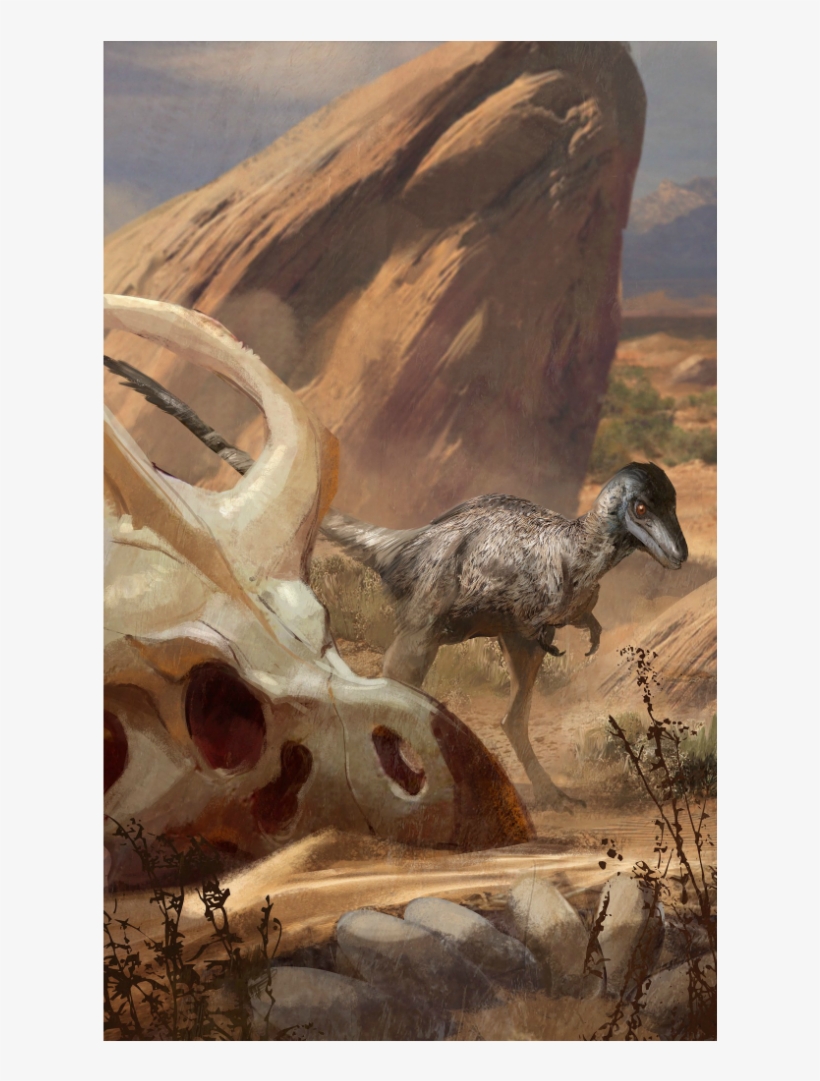 Desert Accessory Pack With Mononykus Olecreanus - Beasts Of Mesozoic Enviromentt, transparent png