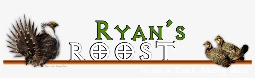 Duck Turkey Boar Deer In Crosshairs Clipart - National Greater Sage-grouse Planning Strategy: Land, transparent png