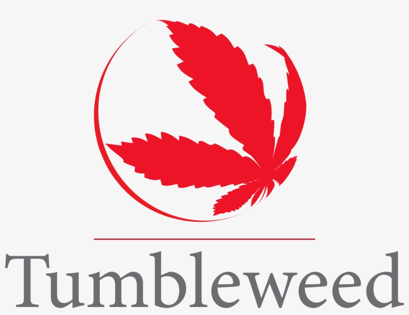 Tumbleweed Png, transparent png