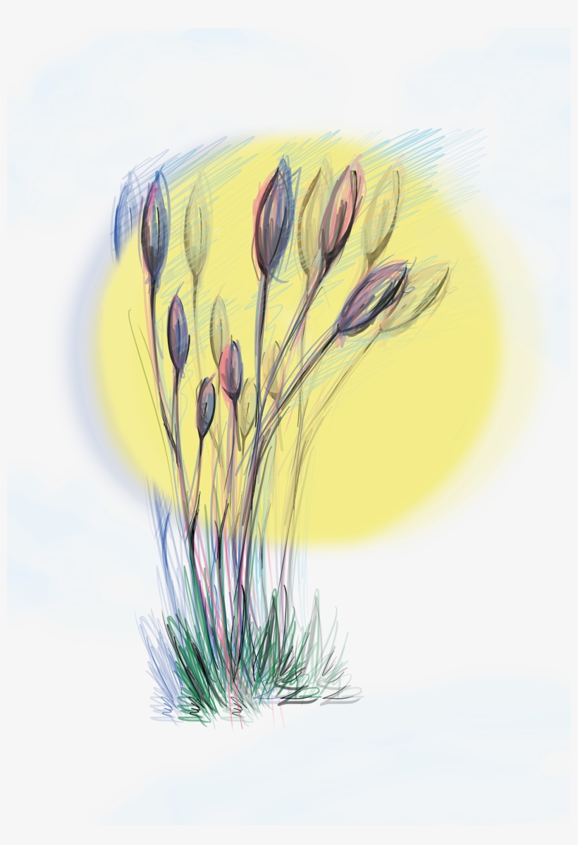 Thank You - Spring Crocus, transparent png