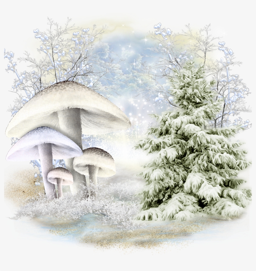 Tree, transparent png