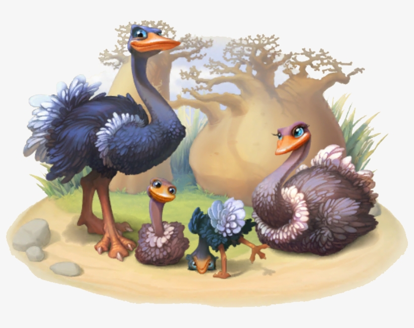 Ostrich Family - Common Ostrich, transparent png