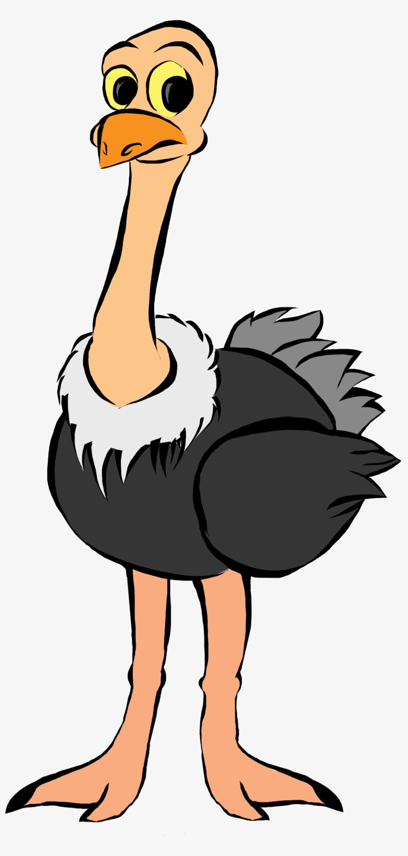 Ostrich Clipart, transparent png