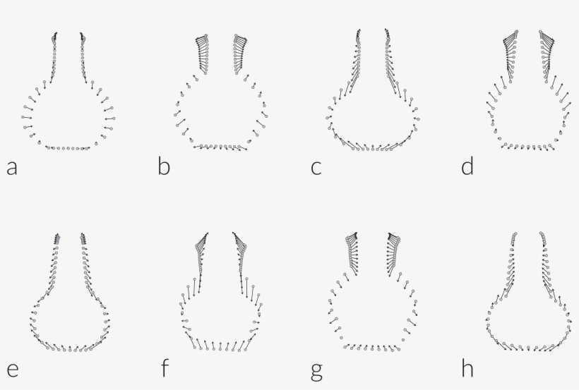 Comparison Of Mean Bottle Shapes By Type For Those - Portable Network Graphics, transparent png