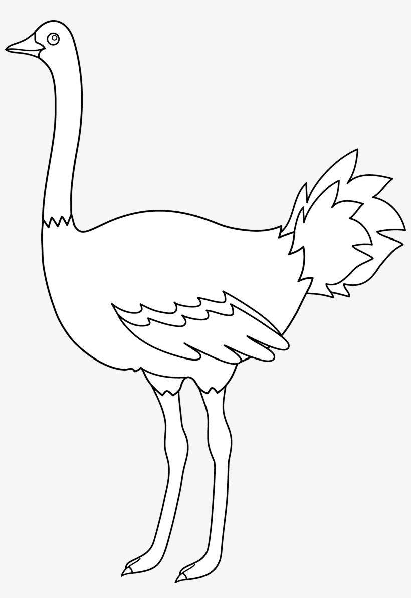 Svg Freeuse Library Colorable Design Free Clip Art - Clip Art, transparent png