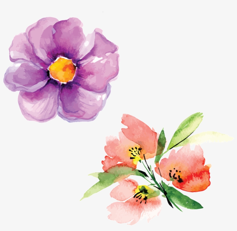 Hand Painted Flowers Hd Beautiful Png Petals Illustration - Watercolor Painting, transparent png