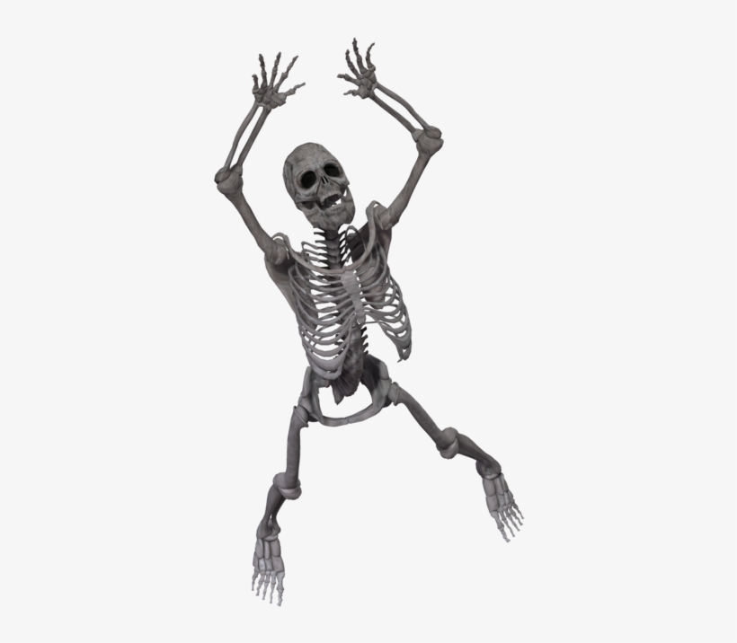 Spooky Skeleton Png - Esqueleto Axial En 3d, transparent png