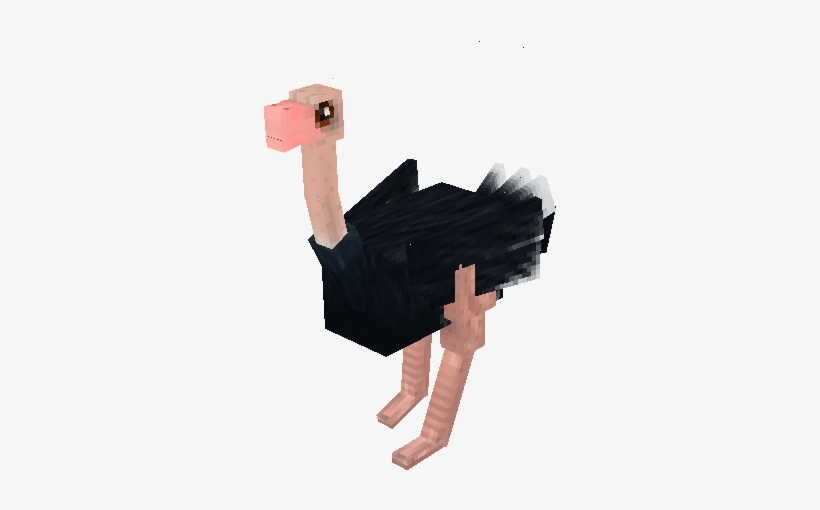 Male Ostrich Mo Creatures, transparent png