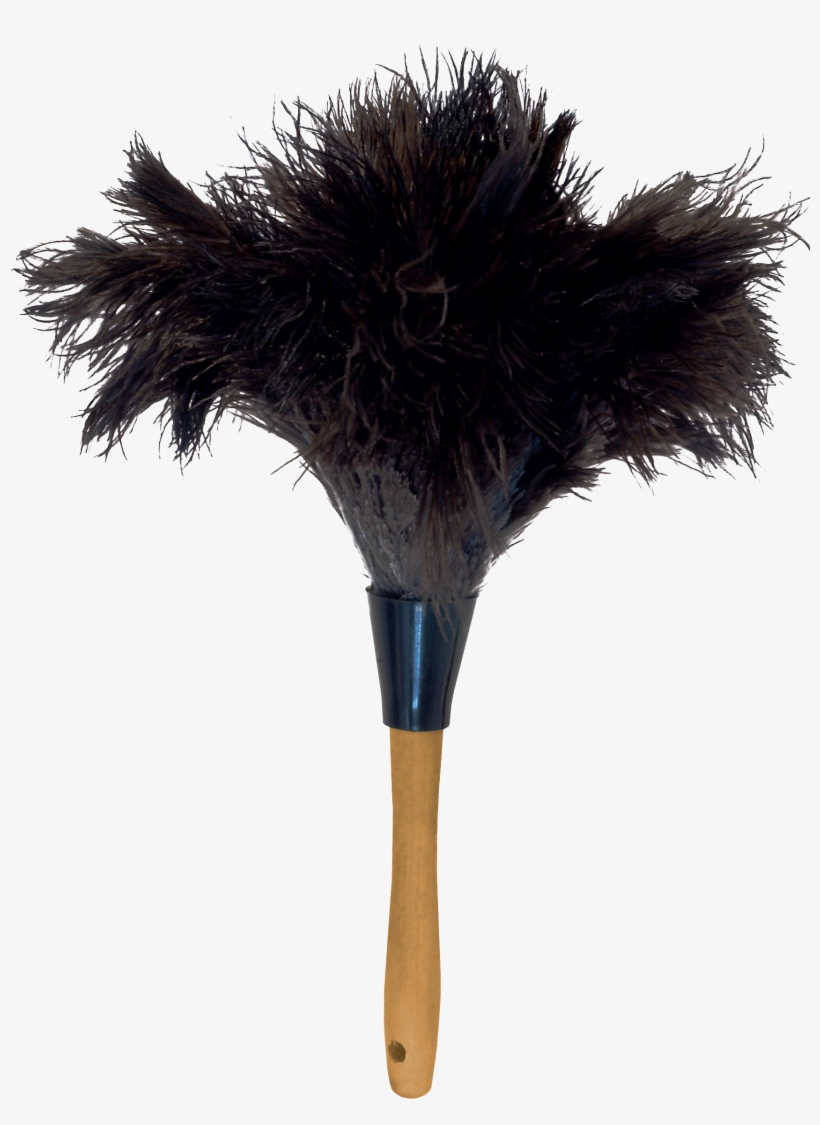 Ostrich Feather Png - Feather Duster, transparent png