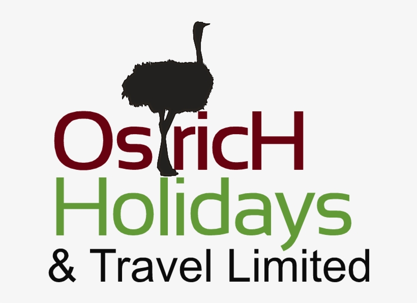 Ostrich Holidays And Travel Limited - Jd Geotechnical Services Pty Ltd, transparent png