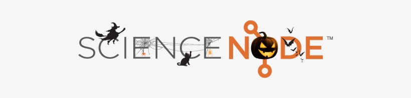 Graphic Design, transparent png