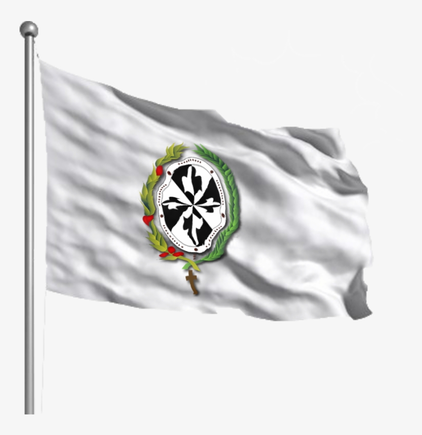 Bandera Del Instituto Nuestra Señora Del Rosario - They Fought Valiantly For Their Country's Survival:, transparent png