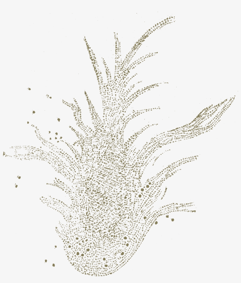 Carroll Phantasmagoria Crab Nebula Sketch 1623x1826 PNG Download PNGkit